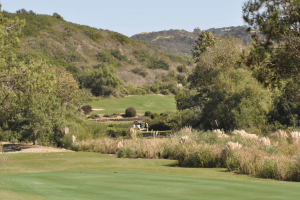 The grand Golf Club