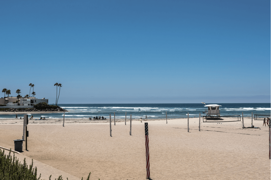 Dog Beach