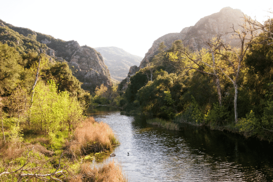 The Malibu Creek State Park Connection