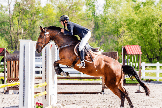 Hidden Hills Horse Show