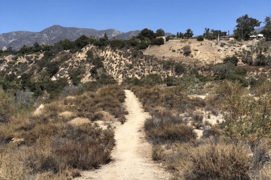 Hahamongna Watershed Park