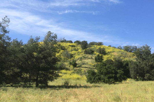 San Dimas Canyon Park