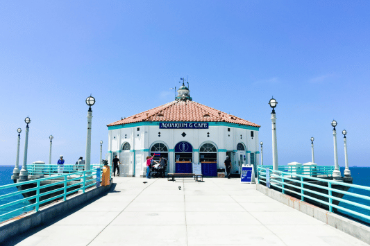 The Roundhouse Aquarium