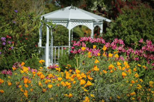South Coast Botanic Garden
