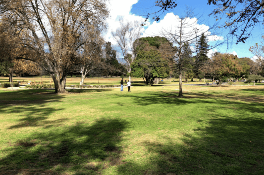 Lacy Park