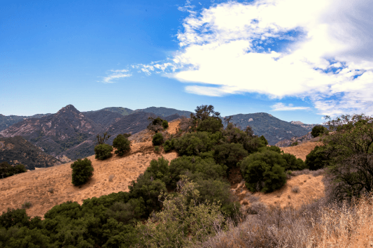 Santa Monica Mountains