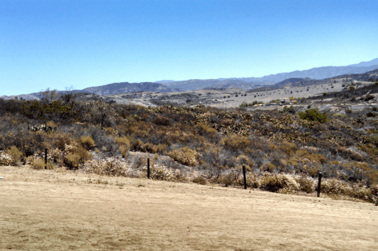 Thomas F. Riley Wilderness Park
