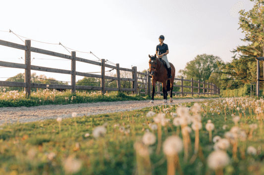 Coto de Caza Equestrian Preserve