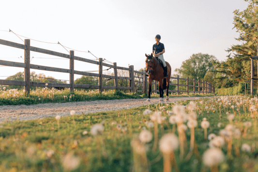 Nellie Gail Ranch Equestrian Center