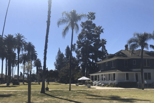 Tri-City Park