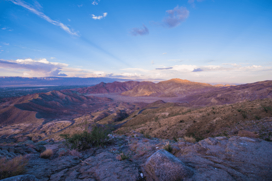 Coachella Valley Preserve