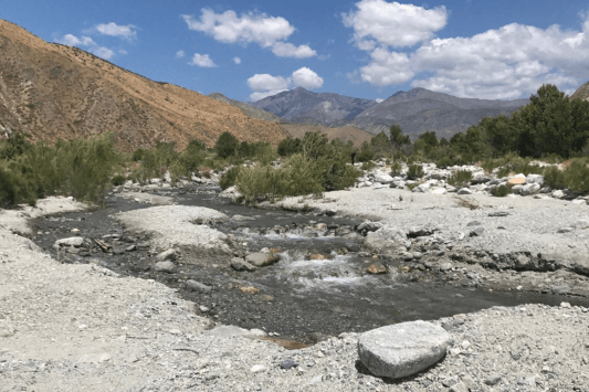 Whitewater Preserve