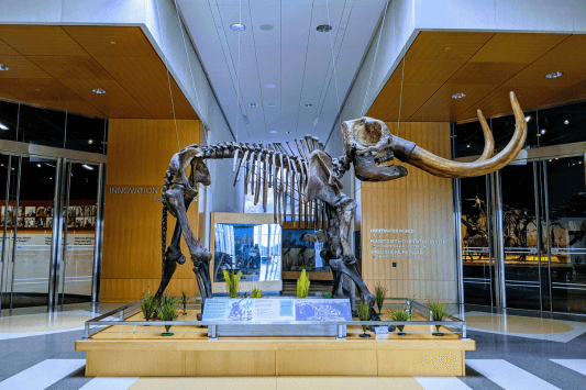 Western Science Center