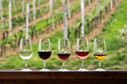 Temecula Wine Country