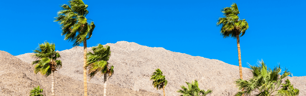 Palm Desert neighborhood