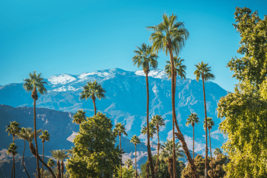 Palm Desert