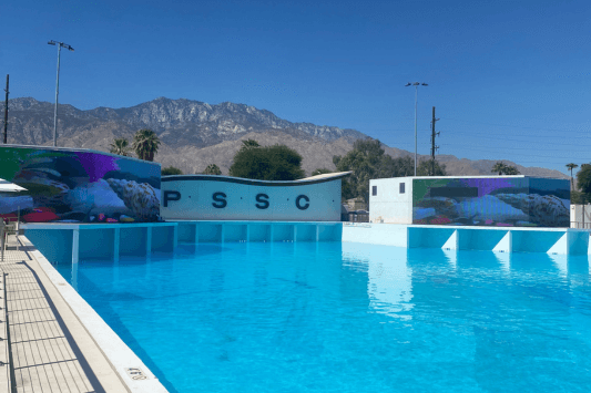 Palm Springs Surf Club