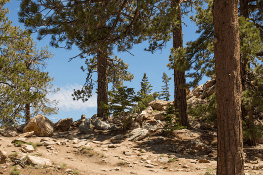 JMount San Jacinto State Park