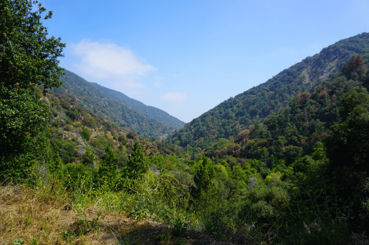La Cañada Flintridge