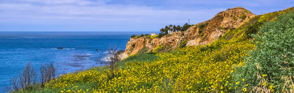 Palos Verdes Estates & Rolling Hills Estates neighborhood