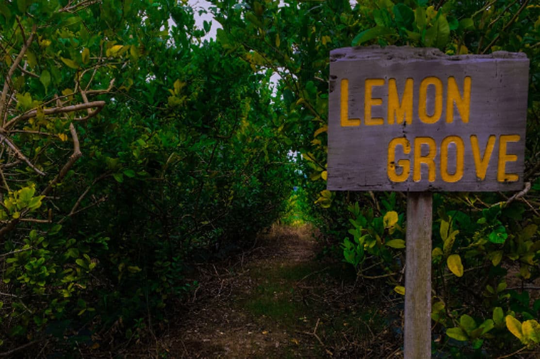 Lemon Grove