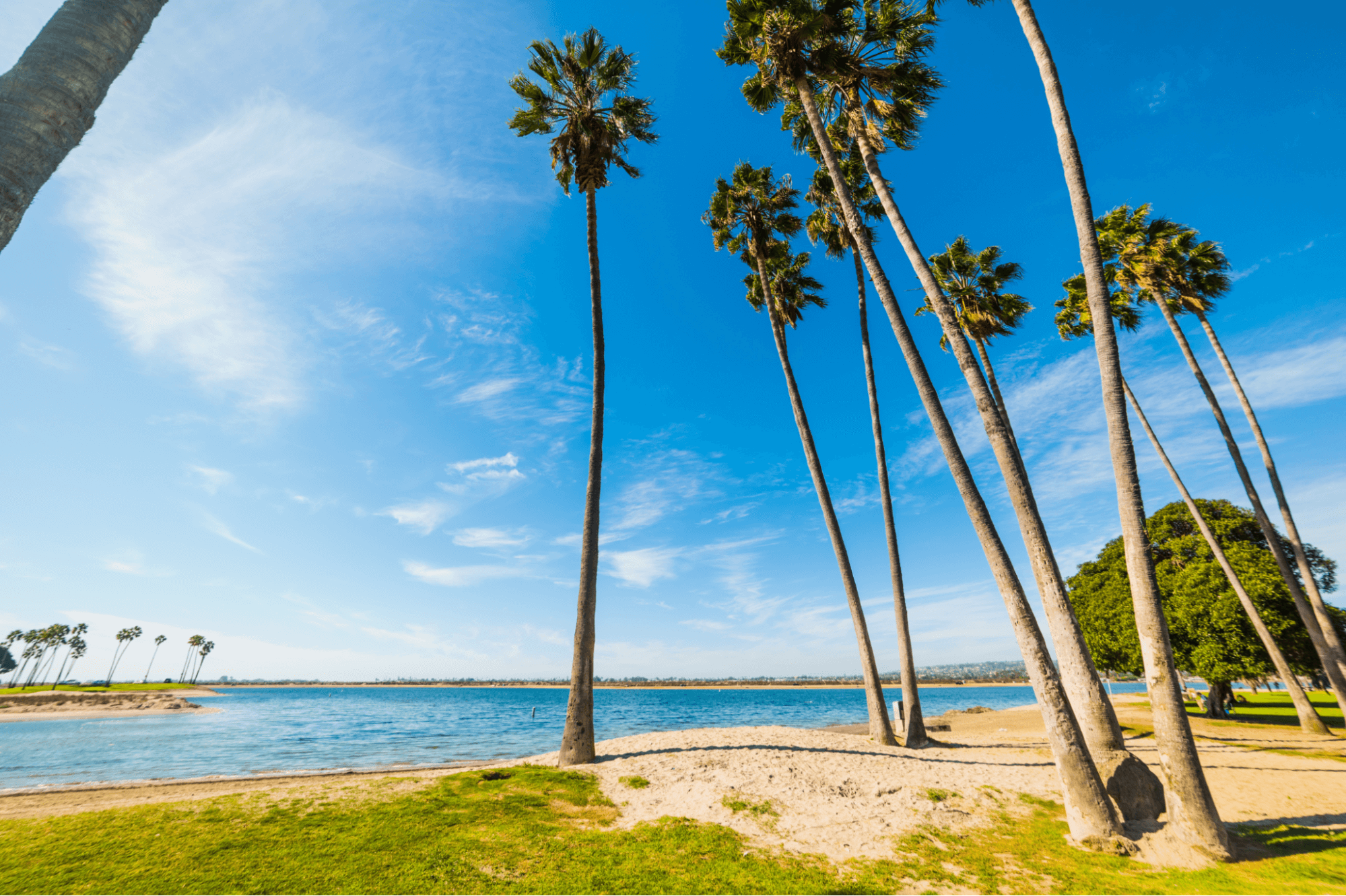 Mission Beach