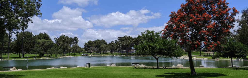 Fountain Valley neighborhood
