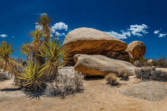 Desert Center & Indio