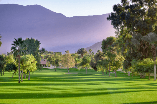 Menifee