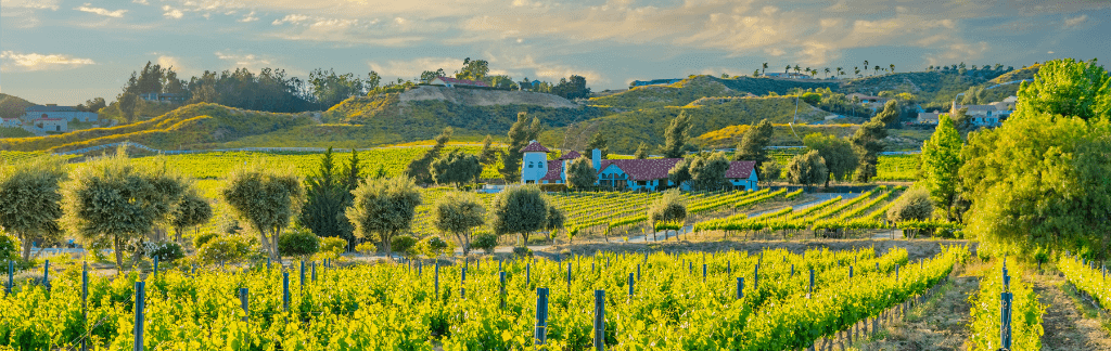 Temecula neighborhood